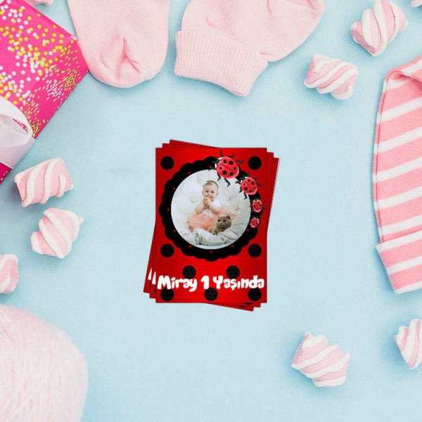 Baby Shower Magnet Uğur Böceği Konseptli
